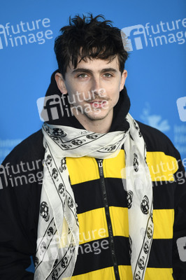 Photocall 'Like A Complete Unknown', Berlinale 2025