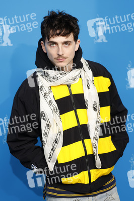 Photocall 'Like A Complete Unknown', Berlinale 2025