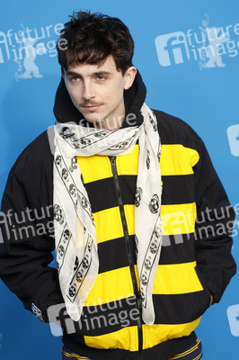 Photocall 'Like A Complete Unknown', Berlinale 2025