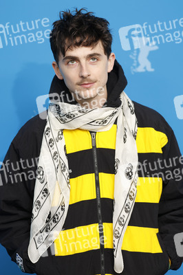 Photocall 'Like A Complete Unknown', Berlinale 2025
