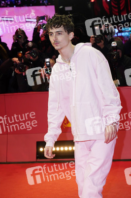 Filmpremiere 'Like A Complete Unknown', Berlinale 2025