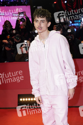 Filmpremiere 'Like A Complete Unknown', Berlinale 2025