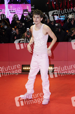 Filmpremiere 'Like A Complete Unknown', Berlinale 2025