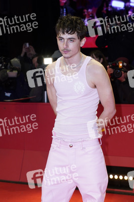 Filmpremiere 'Like A Complete Unknown', Berlinale 2025