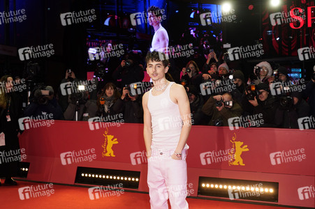 Filmpremiere 'Like A Complete Unknown', Berlinale 2025