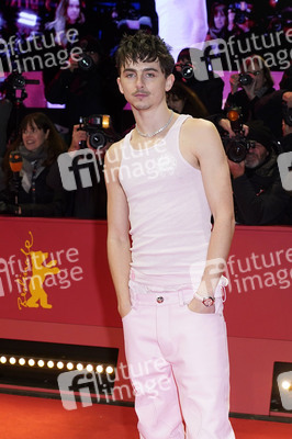 Filmpremiere 'Like A Complete Unknown', Berlinale 2025