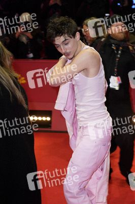 Filmpremiere 'Like A Complete Unknown', Berlinale 2025