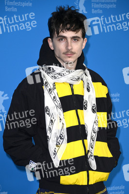 Photocall 'Like A Complete Unknown', Berlinale 2025
