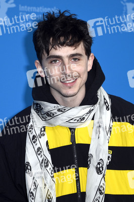 Photocall 'Like A Complete Unknown', Berlinale 2025