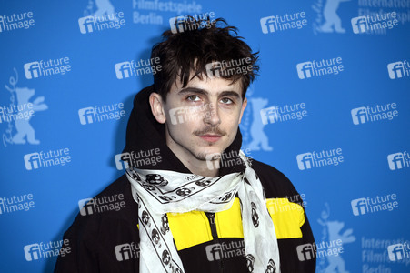 Photocall 'Like A Complete Unknown', Berlinale 2025