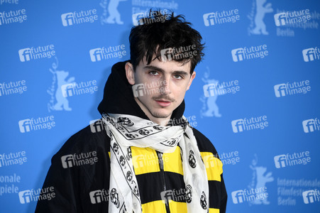Photocall 'Like A Complete Unknown', Berlinale 2025