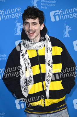 Photocall 'Like A Complete Unknown', Berlinale 2025