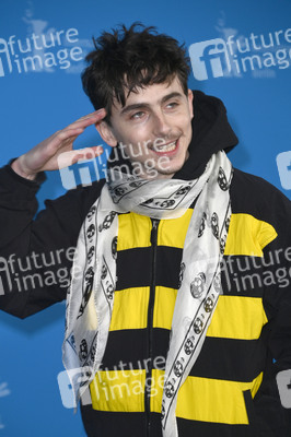 Photocall 'Like A Complete Unknown', Berlinale 2025