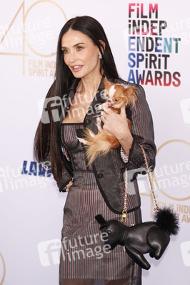 Film Independent Spirit Awards 2025 in Santa Monica