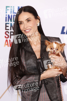 Film Independent Spirit Awards 2025 in Santa Monica