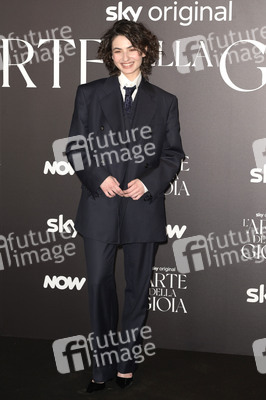 Photocall 'L'arte della gioia' in Rom