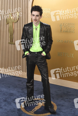 Screen Actors Guild Awards 2025 in Los Angeles