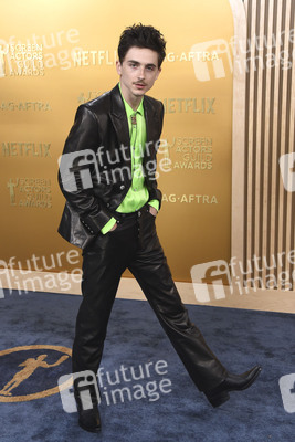 Screen Actors Guild Awards 2025 in Los Angeles