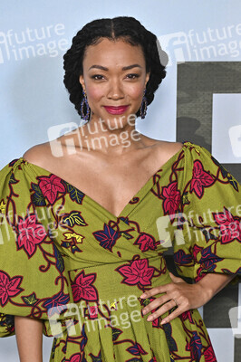 Filmpremiere 'My Dead Friend Zoe' in Los Angeles