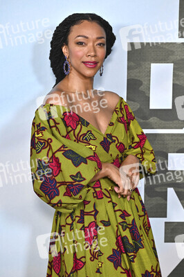 Filmpremiere 'My Dead Friend Zoe' in Los Angeles