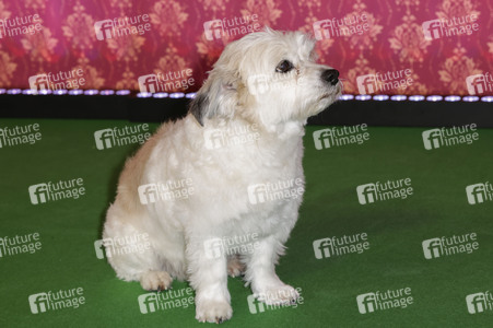 Serienpremiere 'Ghosts' in Köln