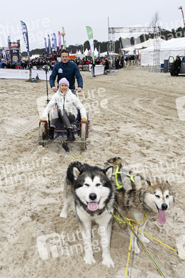 Baltic Lights 2025 Schlittenhunderennen auf Usedom