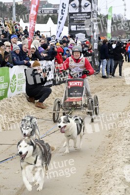 Baltic Lights 2025 Schlittenhunderennen auf Usedom