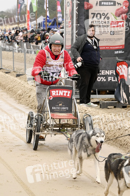 Baltic Lights 2025 Schlittenhunderennen auf Usedom