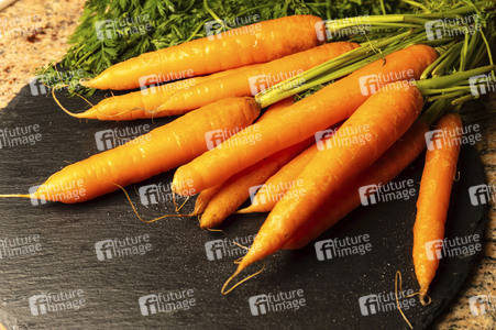 Symbolfoto Karotten
