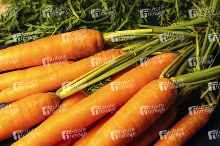 Symbolfoto Karotten
