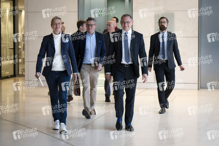 Fraktionssitzung der AfD-Bundestagsfraktion in Berlin