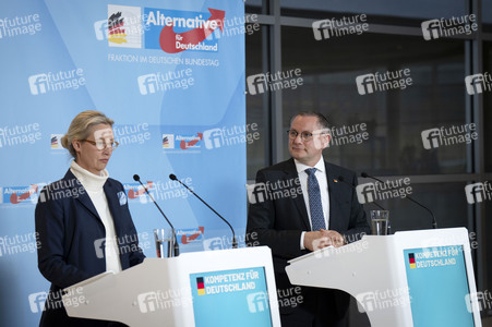 Fraktionssitzung der AfD-Bundestagsfraktion in Berlin