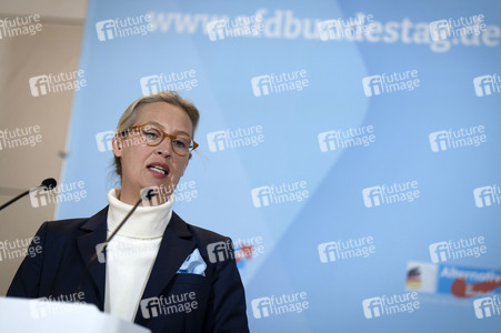 Fraktionssitzung der AfD-Bundestagsfraktion in Berlin