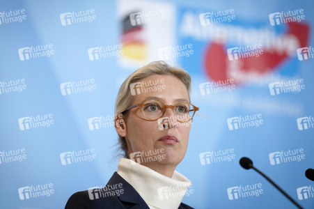 Fraktionssitzung der AfD-Bundestagsfraktion in Berlin