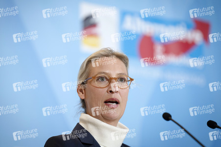 Fraktionssitzung der AfD-Bundestagsfraktion in Berlin