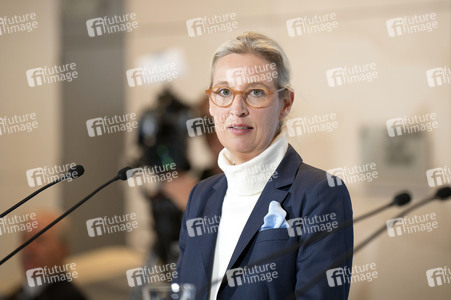 Fraktionssitzung der AfD-Bundestagsfraktion in Berlin