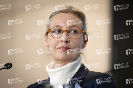 Fraktionssitzung der AfD-Bundestagsfraktion in Berlin