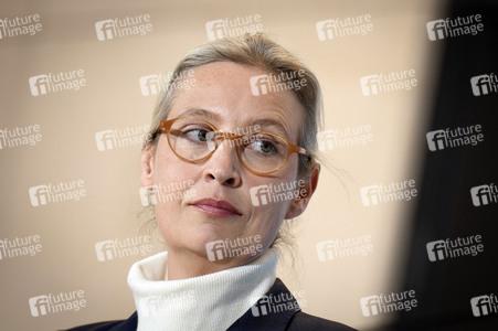 Fraktionssitzung der AfD-Bundestagsfraktion in Berlin