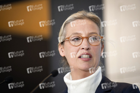 Fraktionssitzung der AfD-Bundestagsfraktion in Berlin