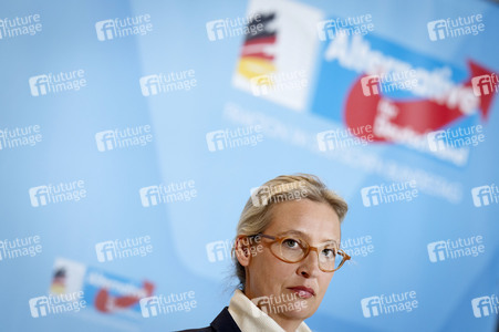 Fraktionssitzung der AfD-Bundestagsfraktion in Berlin