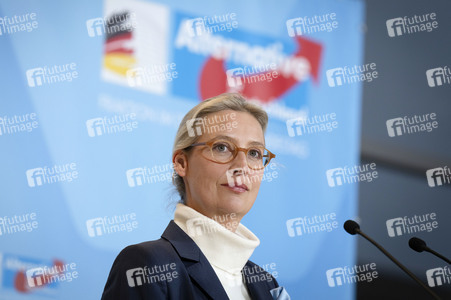 Fraktionssitzung der AfD-Bundestagsfraktion in Berlin