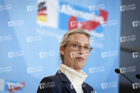 Fraktionssitzung der AfD-Bundestagsfraktion in Berlin