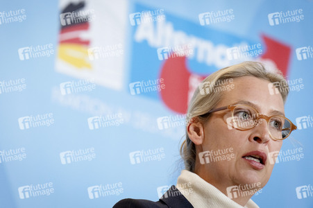 Fraktionssitzung der AfD-Bundestagsfraktion in Berlin