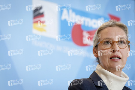 Fraktionssitzung der AfD-Bundestagsfraktion in Berlin