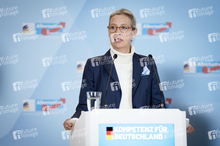 Fraktionssitzung der AfD-Bundestagsfraktion in Berlin