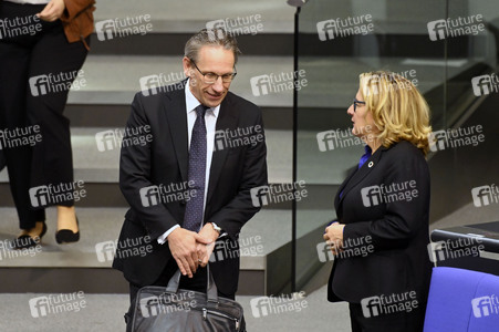 213. Sitzung des Deutschen Bundestages in Berlin