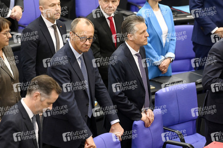 213. Sitzung des Deutschen Bundestages in Berlin