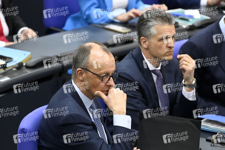 213. Sitzung des Deutschen Bundestages in Berlin