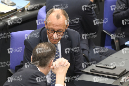 213. Sitzung des Deutschen Bundestages in Berlin