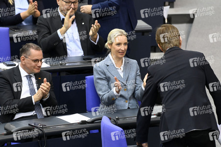 213. Sitzung des Deutschen Bundestages in Berlin